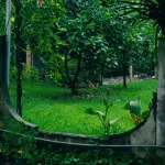 I vantaggi dell’uso delle trappole ai feromoni, naturali ed ecologiche